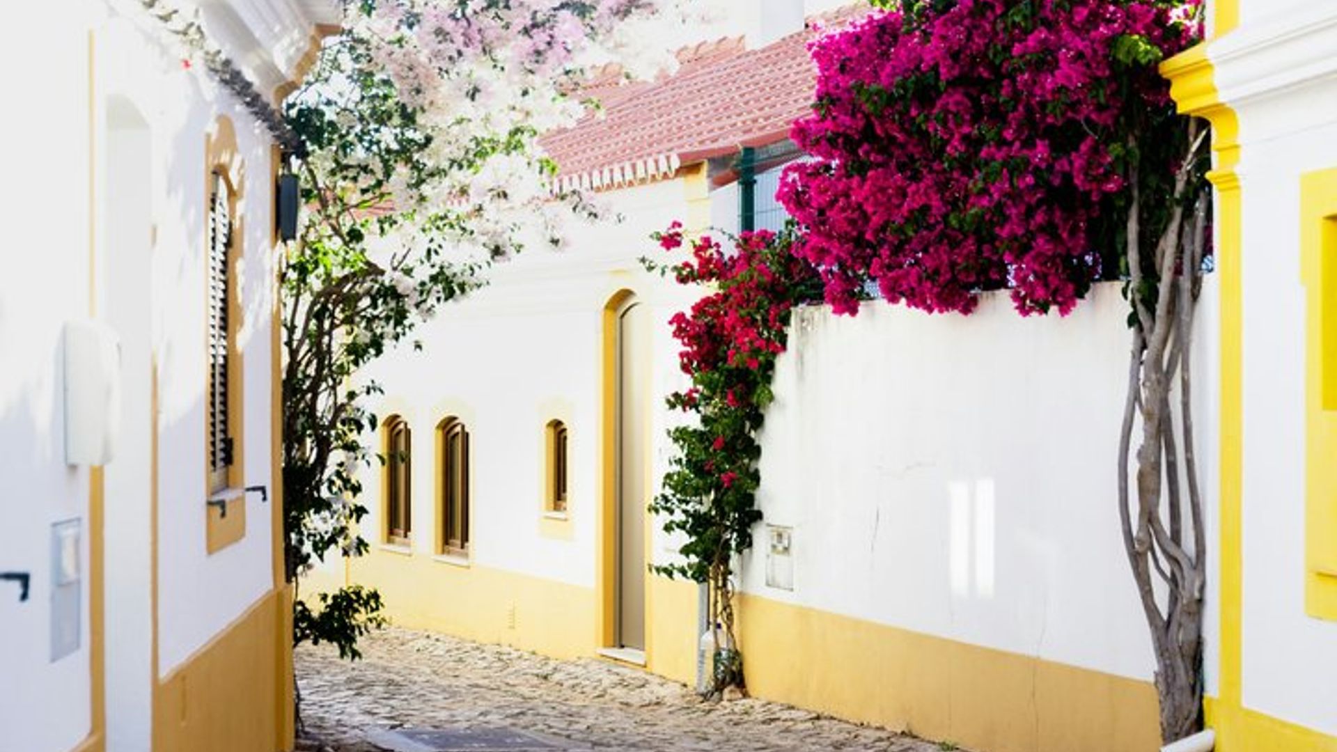 Cata de Vinos Albufeira : Boutique Winery Tour & Historic Silves