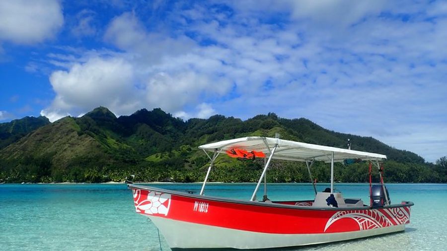 Boat tour 1/2 day Excursion in the lagoon of Moorea