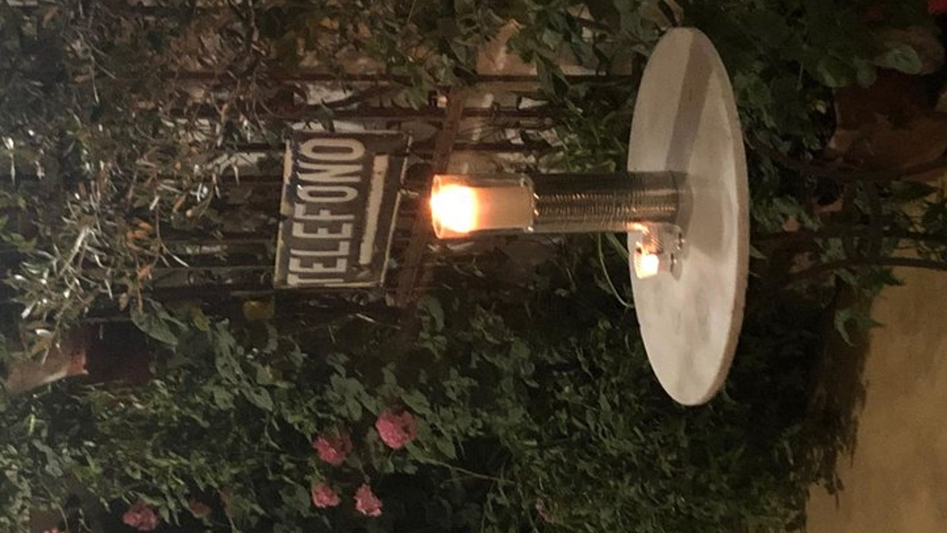 Actuación nocturna de flamenco andaluz con tapas