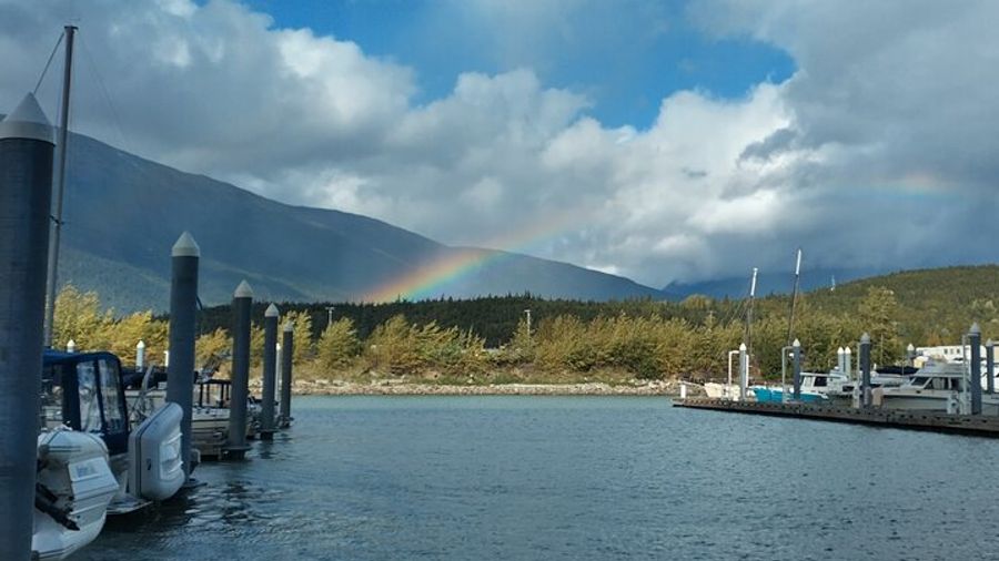 Skagway Waterfalls and Wildlife Scenic Cruise With Snacks