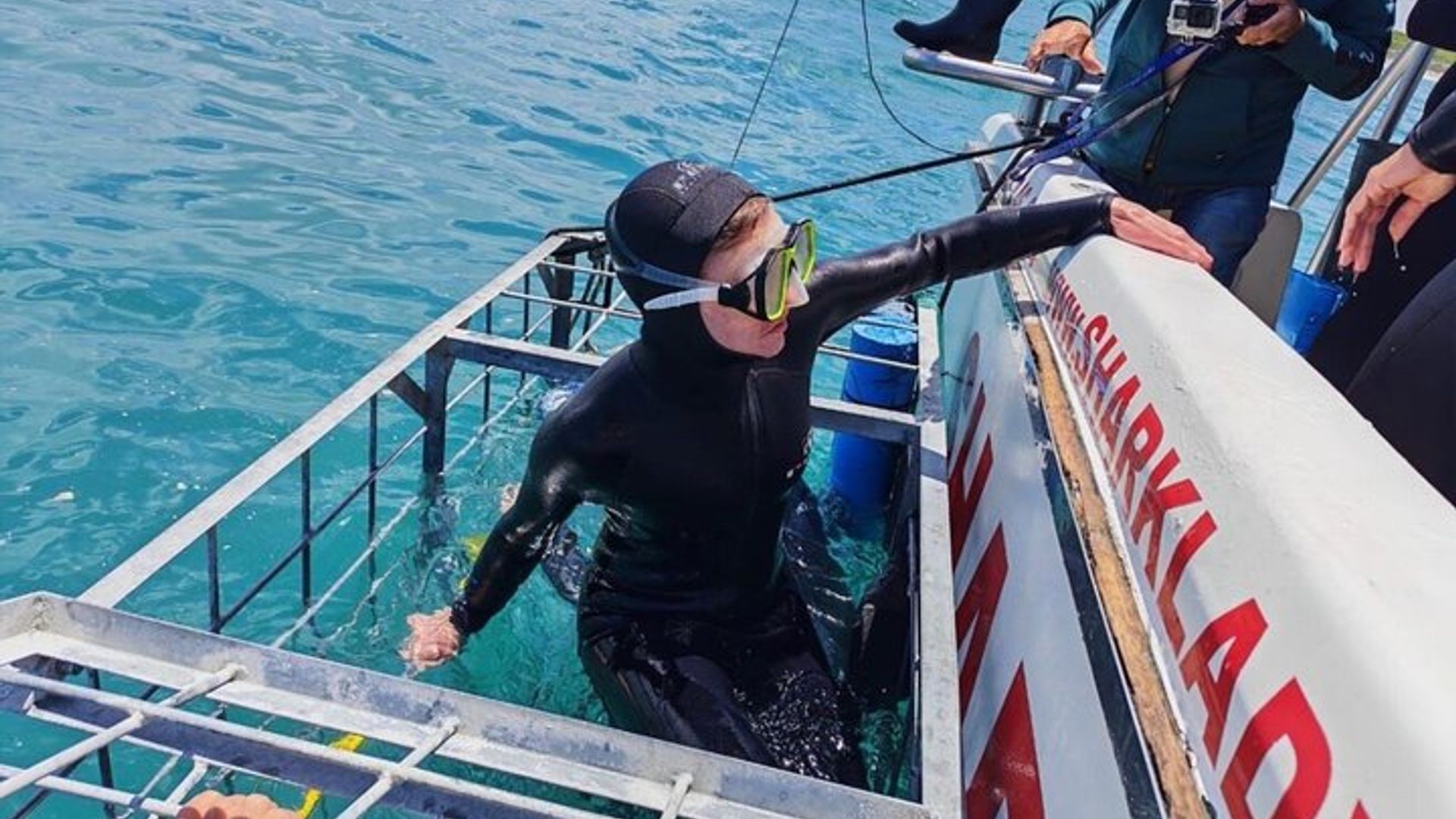 Plongée en cage avec les requins en Afrique du Sud