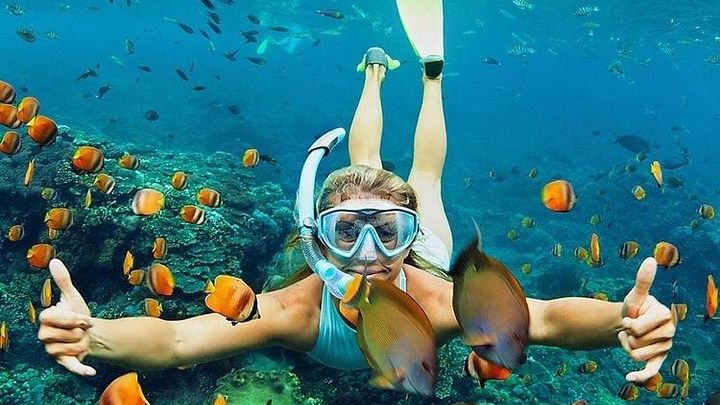 Bali Blue Lagoon Private Snorkel Trip with Lunch and Transfers