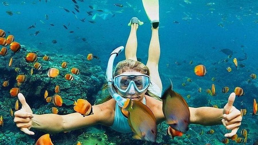 Bali Blue Lagoon Private Snorkel Trip with Lunch and Transfers