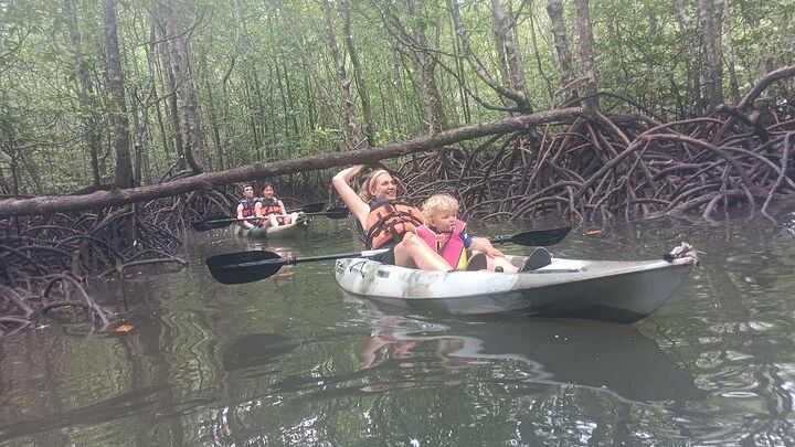 Half-day 4 Hours Kilim Mangrove Kayaking (With Lunch)