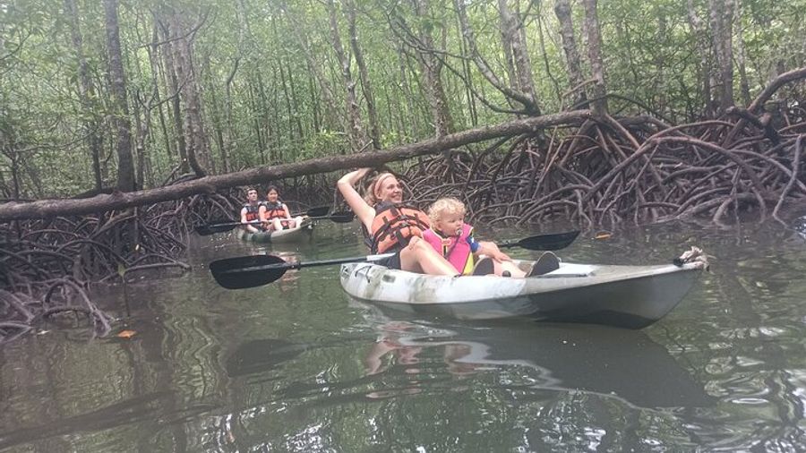 4 hours Langkawi Kilim Mangrove Kayaking Tour With l Lunch