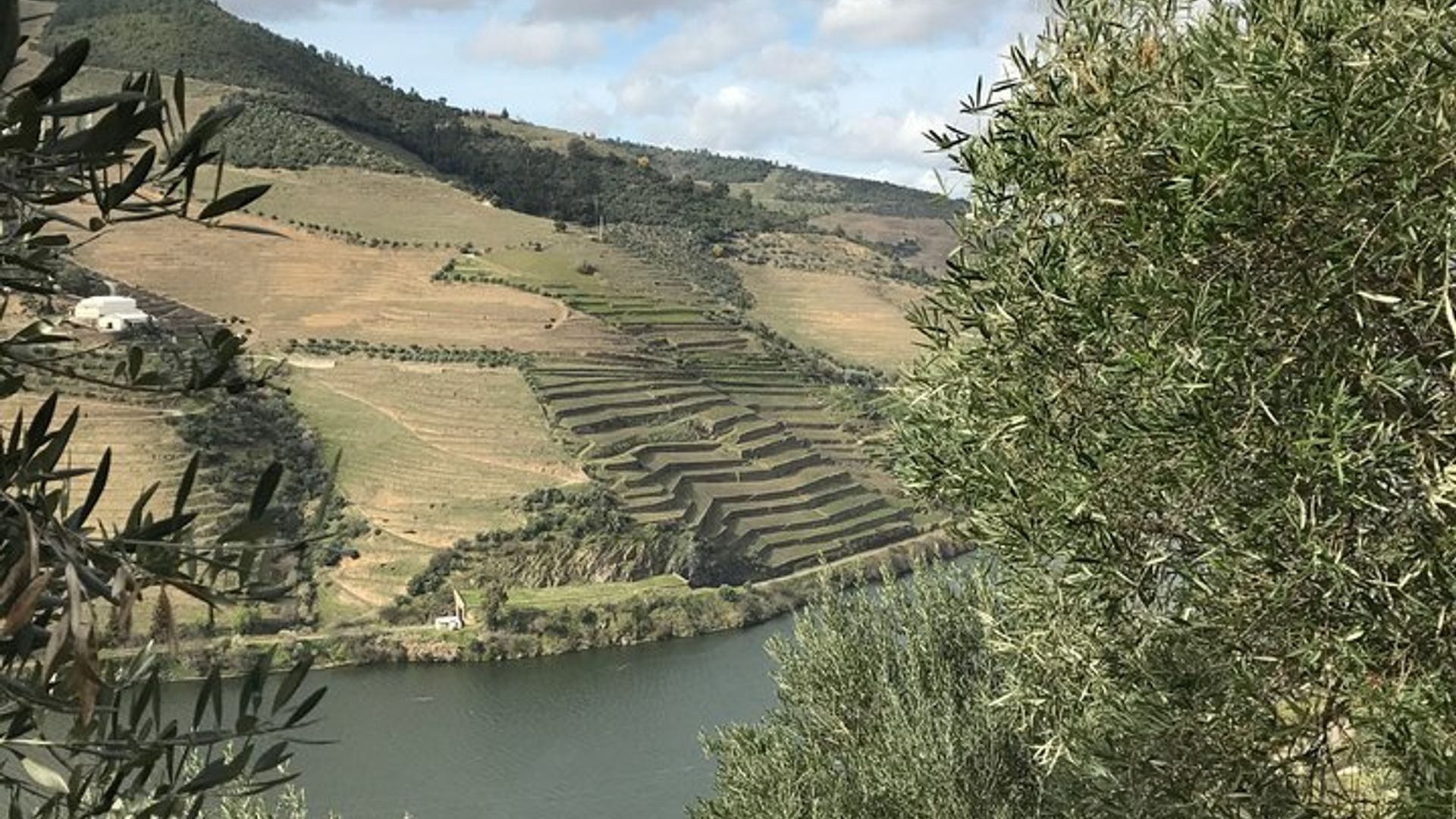 Private Douro Valley Tour Includes Wine Tasting and Boat Tour