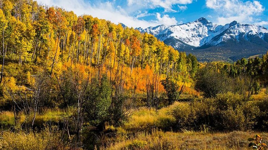 Rocky Mountain National Park Private Tour From Denver