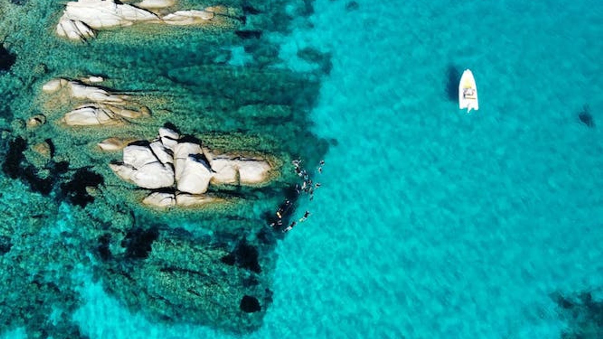 Tavolara protected area snorkeling experience from San Teodoro