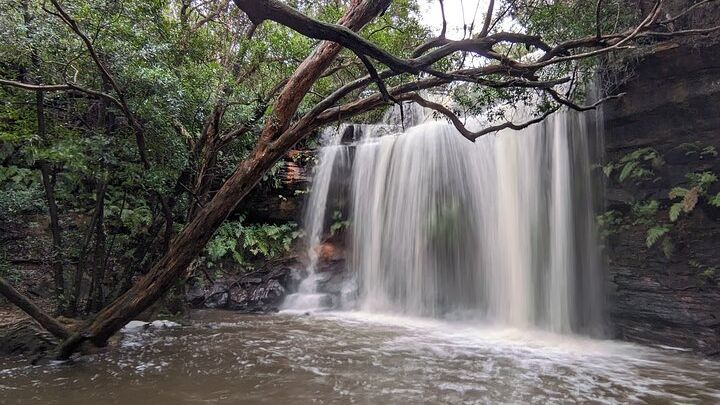 Sydney Private Wildlife and Waterfalls Tour