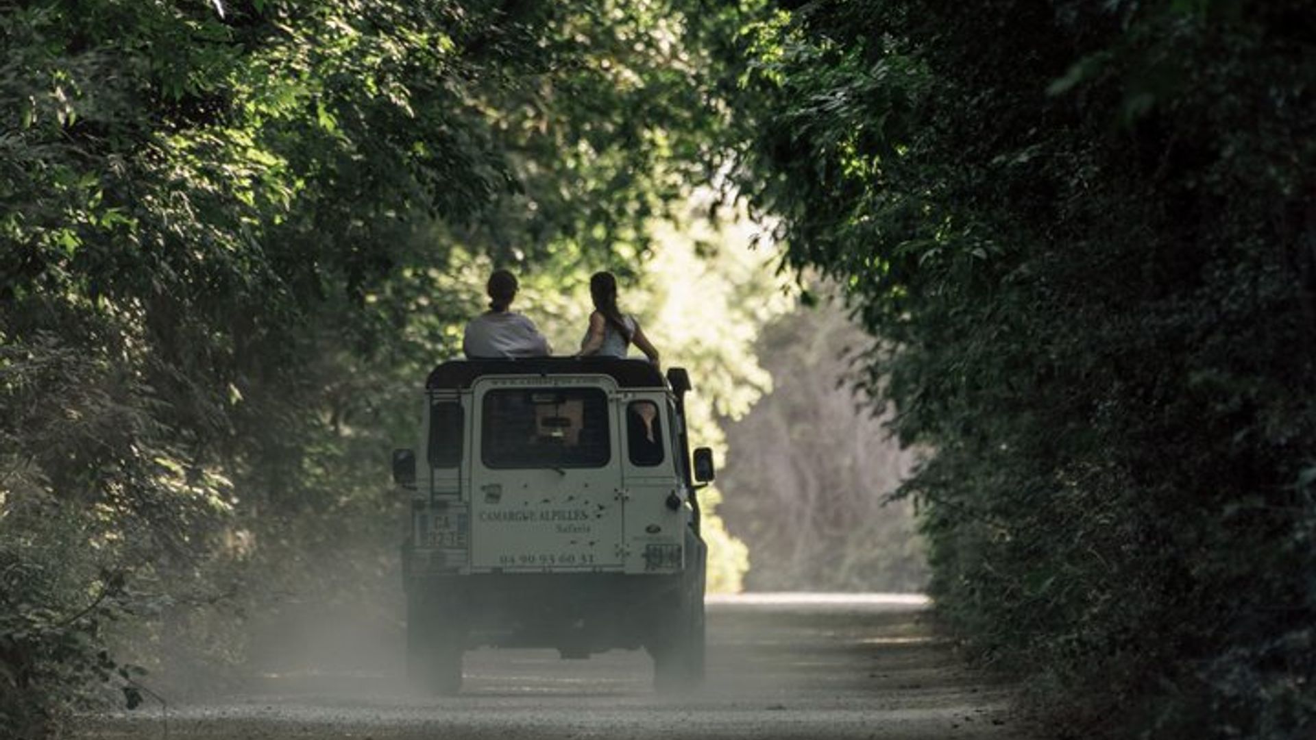 Arles: Camargue Regional Natural Park Private Half-Day Tour