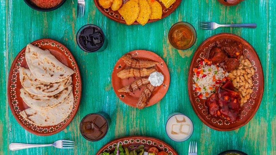 Cabo Baja Beaches and Desert Camel and ATV Ride With Lunch, Tequila