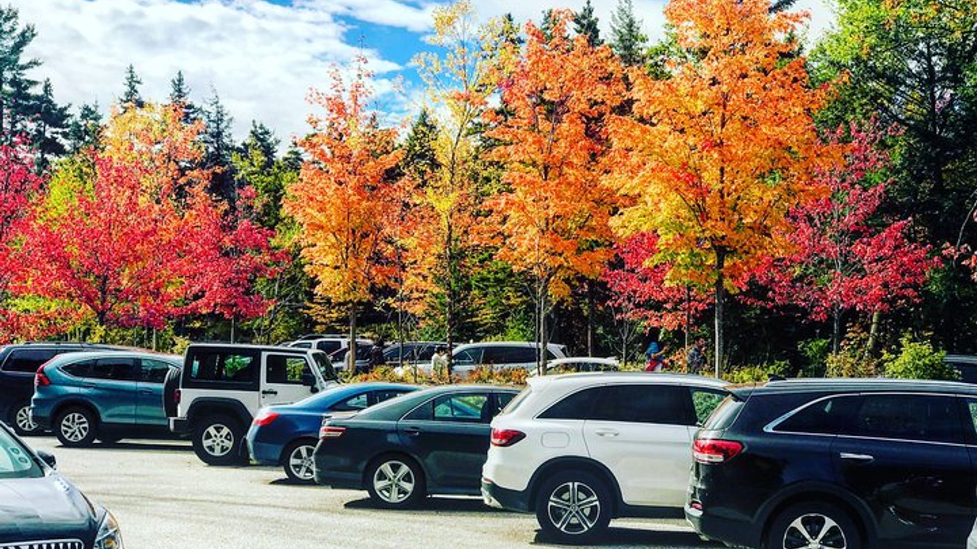 Excursión de un día a las Montañas Blancas del follaje de otoño de New Hampshire, Boston