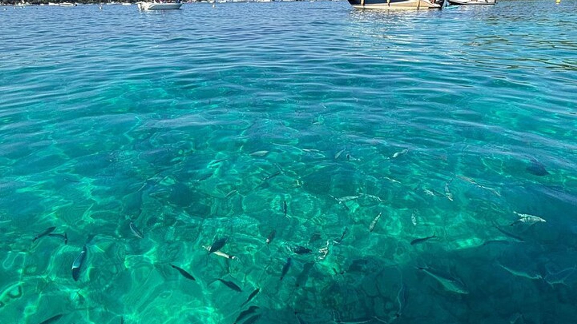 Croisière privée de luxe d'une journée - un voyage serein aux îles