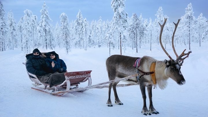 Rovaniemi: Reindeer Safari & Sled Ride with Sámi Family Heritage - Small Group