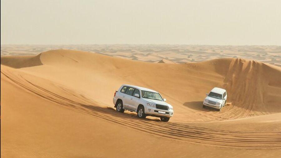 Doha Inland Sea Package with Dune Bashing and Camel Ride