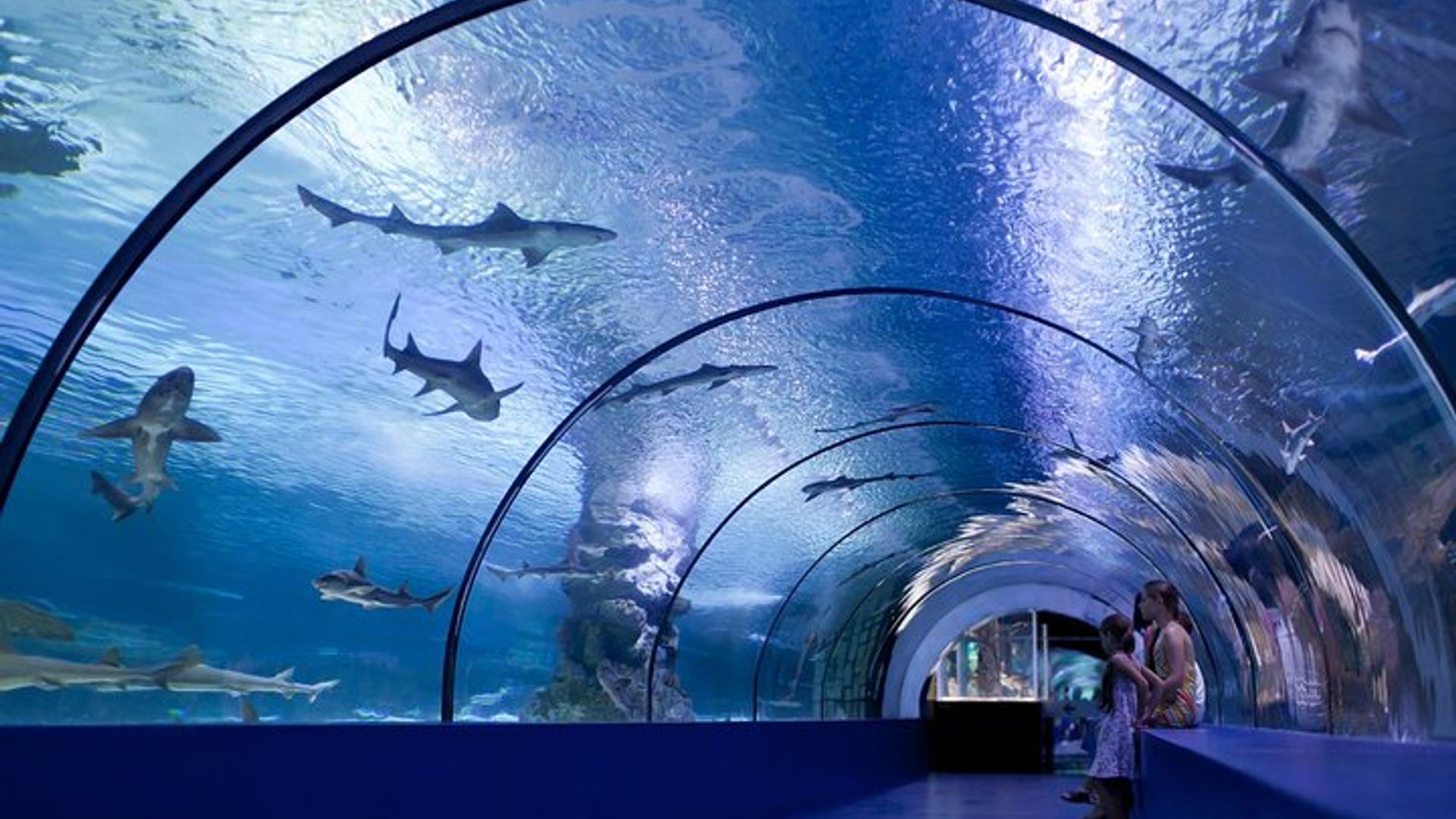 Aquarium et musée de cire Face2Face de Belek