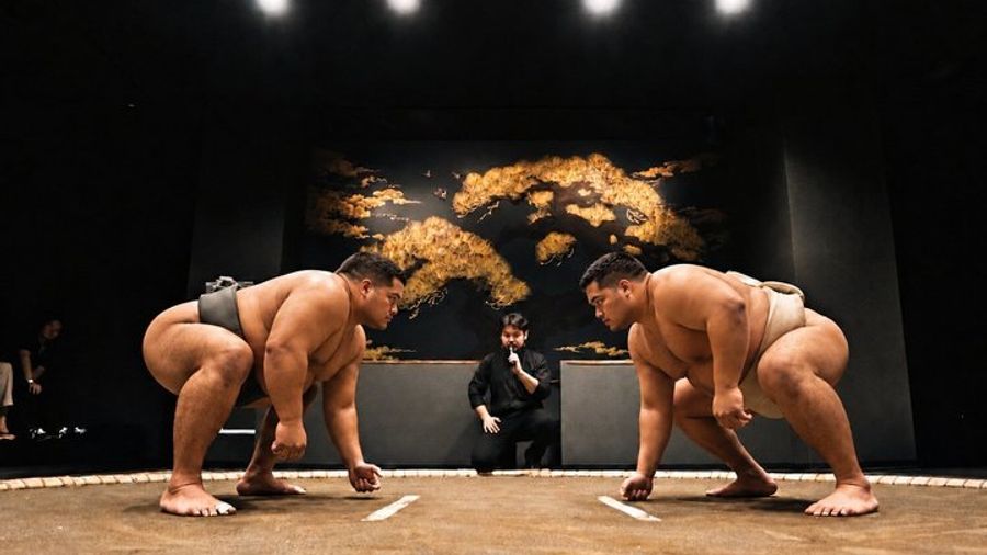 Tokyo Shinjuku Kabukicho: Live Sumo Show, Challenge & Photo