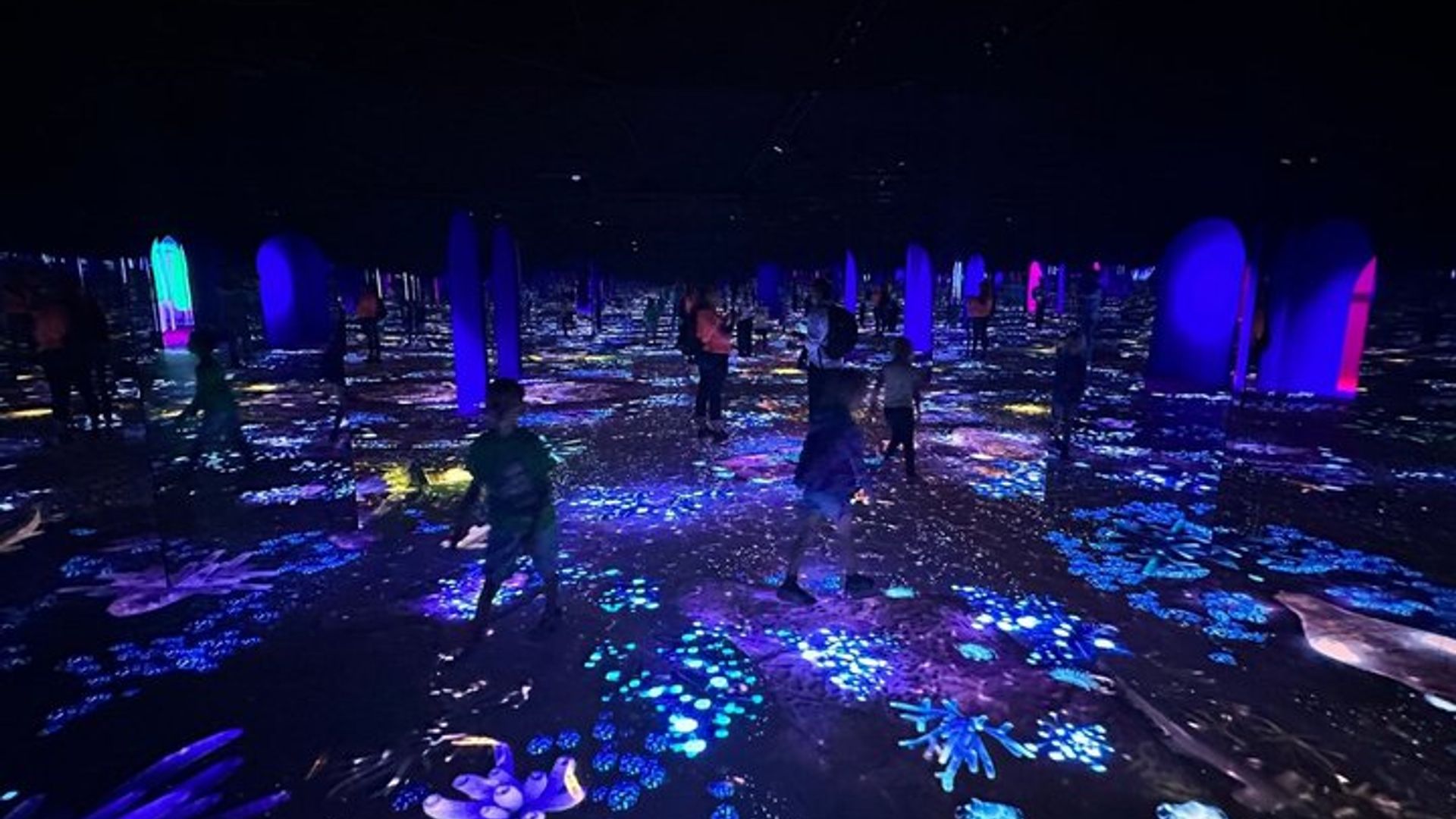 Bubble Planet Montreal: Immersive Digital Interactive Experience