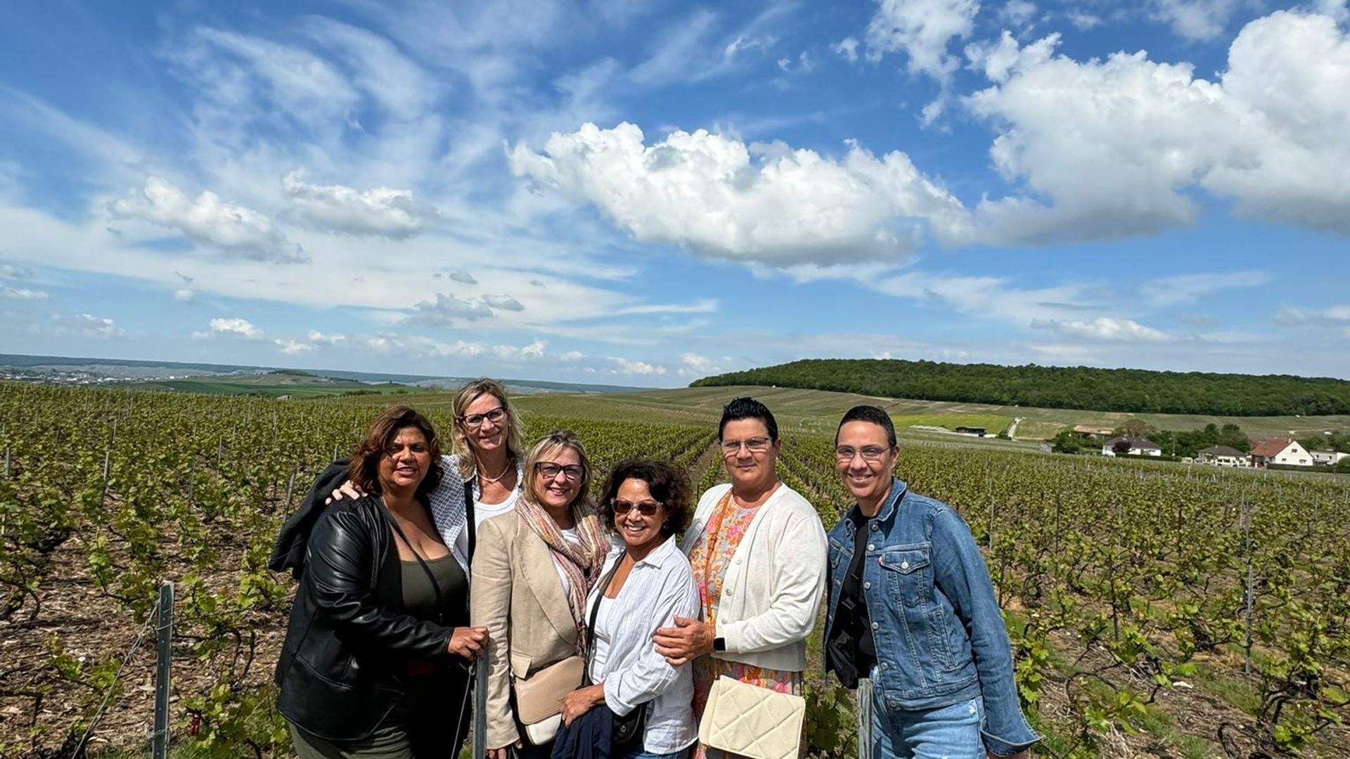 Full day Veuve Clicquot, family growers & traditional lunch from Epernay