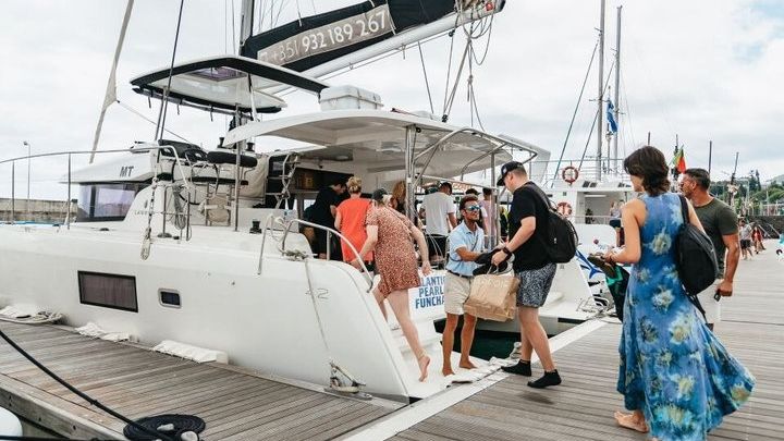 Funchal : Observation of dolphins and whales in a luxury catamaran