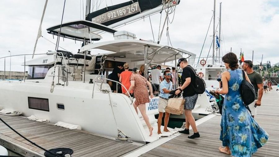Funchal : Observation of dolphins and whales in a luxury catamaran