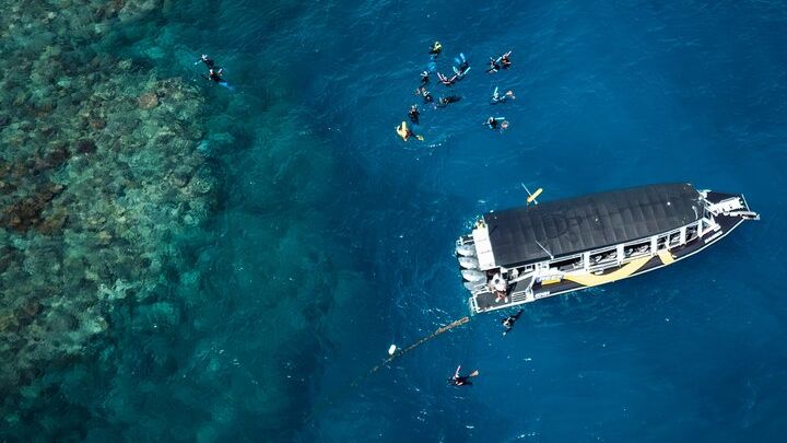 Cairns: Great Barrier Reef Half-Day Snorkeling Tour