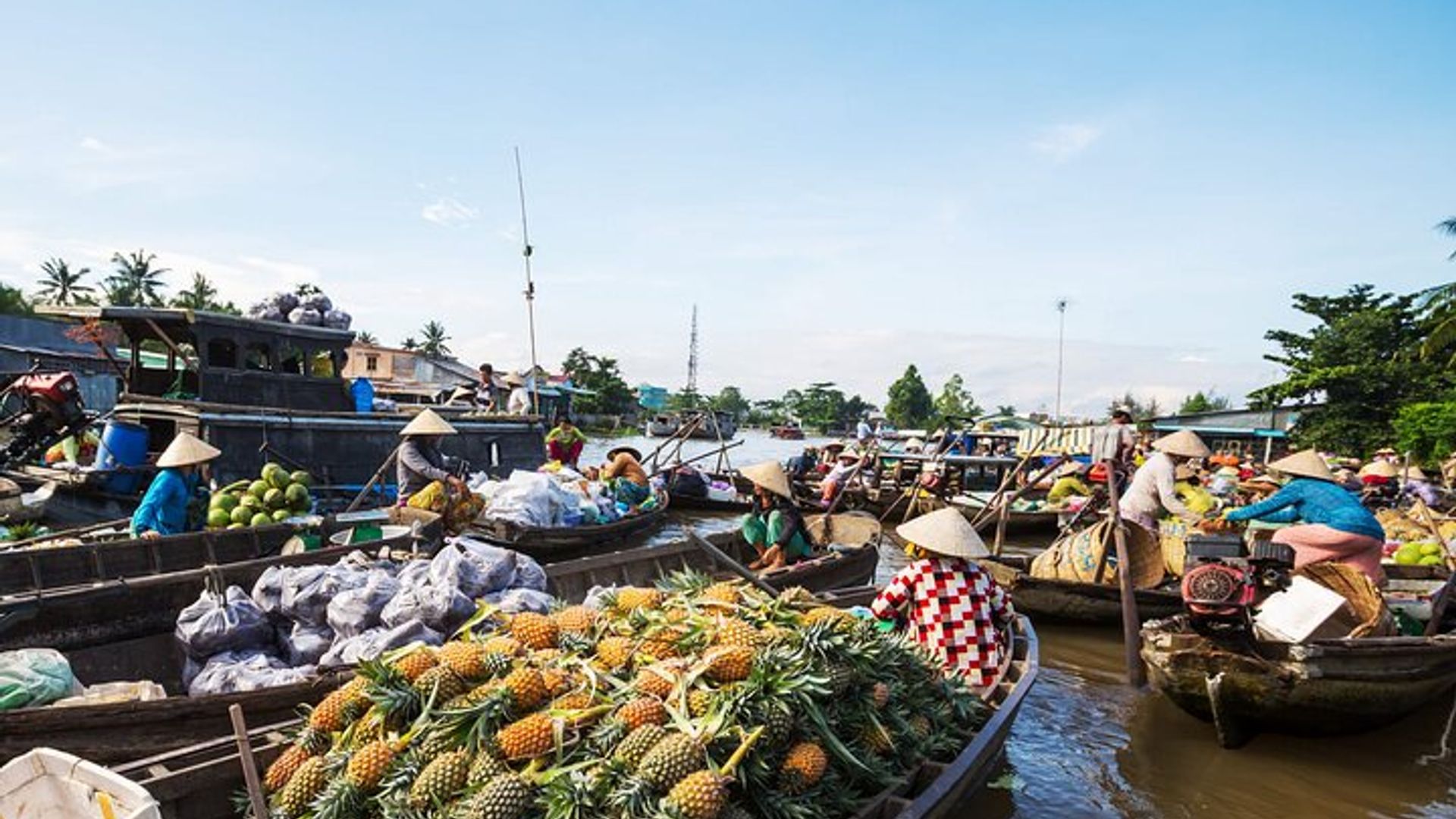 Delta du Mékong en petit groupe de 2 jours à HCMV, visite du marché flottant