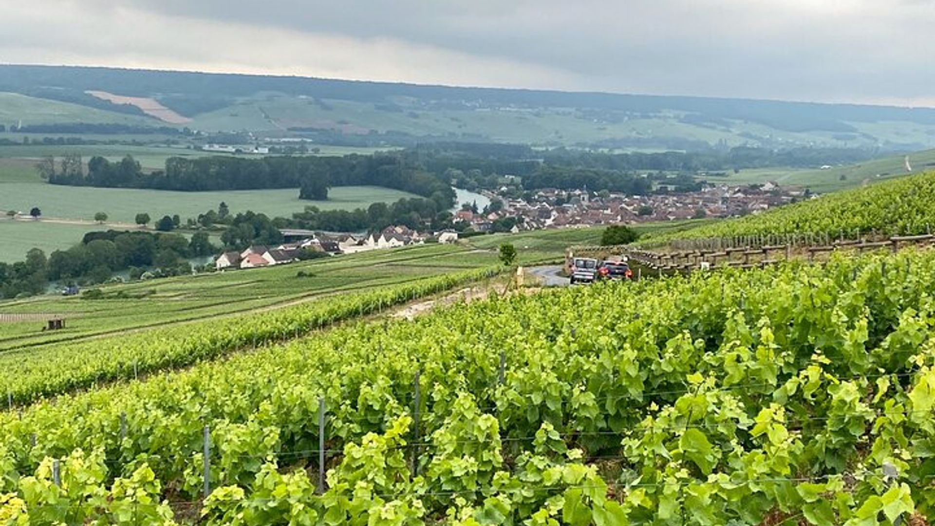 Paris: Moet & Chandon Private Tour, Lunch, Aperitif, Cellar