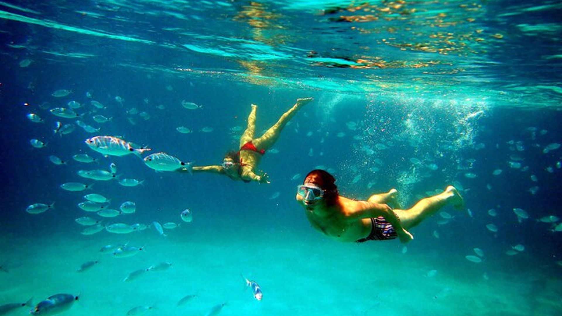 Excursion en bateau privé à Golfo di Olbia et Dolphins Island