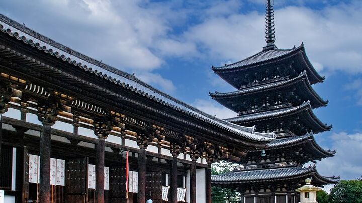 Private Nara Tour and Sake Tasting (Departing from Kyoto/Nara)