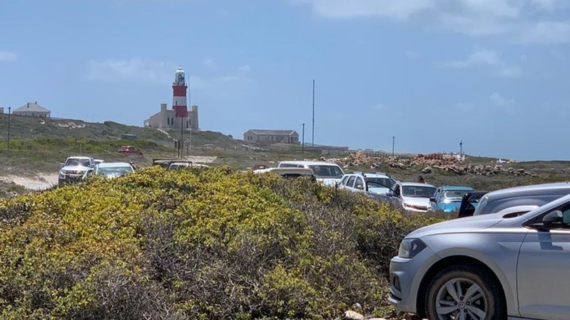 Le Cap : observation privée des baleines et visite des vignobles