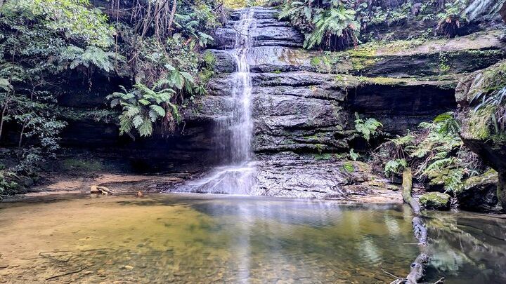Blue Mountains Wilderness Wonder