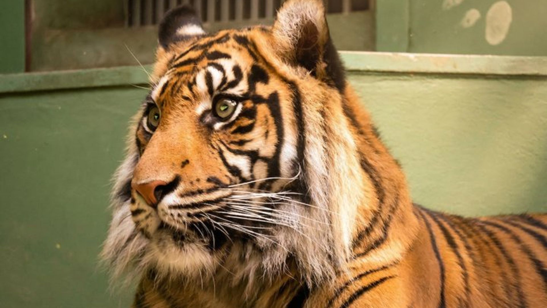 Prague Zoo Ticket with Online Audio Guide