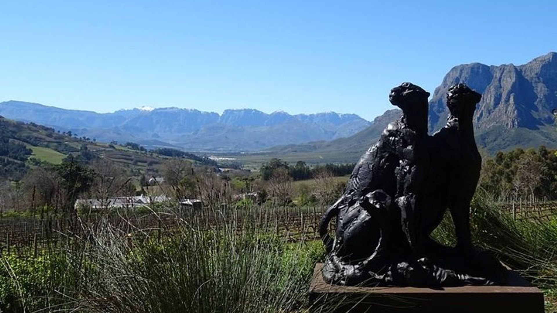 Stellenbosch/Franschhoek Private, von Experten geführte Weintour