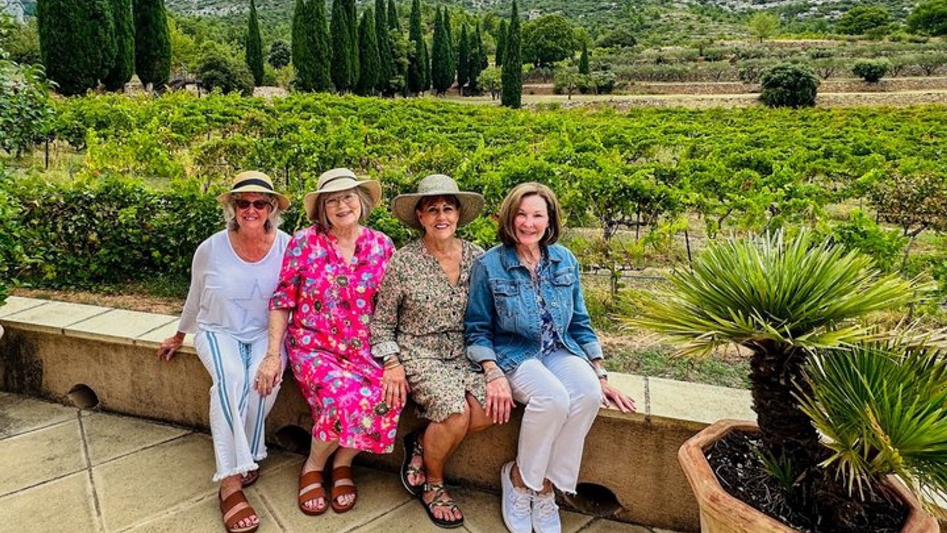 Villages du Luberon : Visite Privée Avec Lourmarin et Lauris