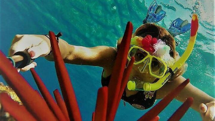 Maui Adventure Snorkel at Molokini Crater