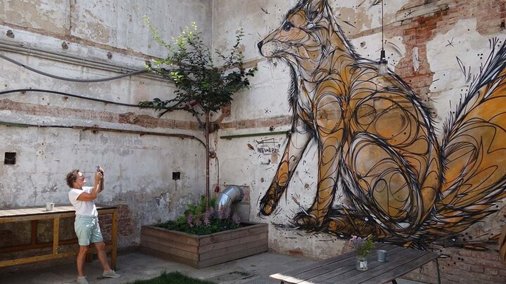 Prague Alternative and Arts Scene Small-Group 2.5-Hour Tour