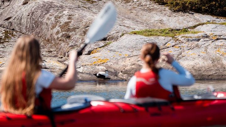 Bergen Small-Group Half-Day Kayak Tour