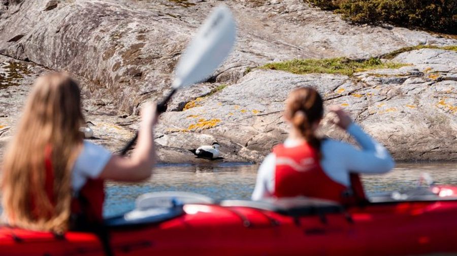 Bergen Small-Group Half-Day Kayak Tour