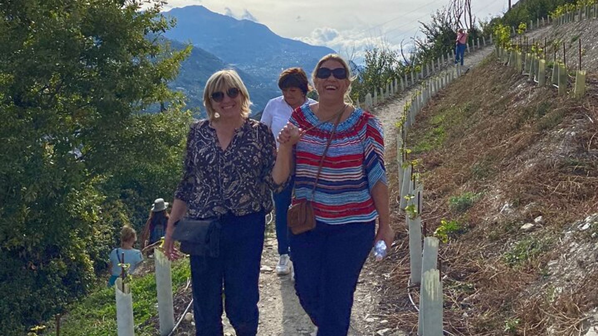 Promenade dans les vignobles de Sion