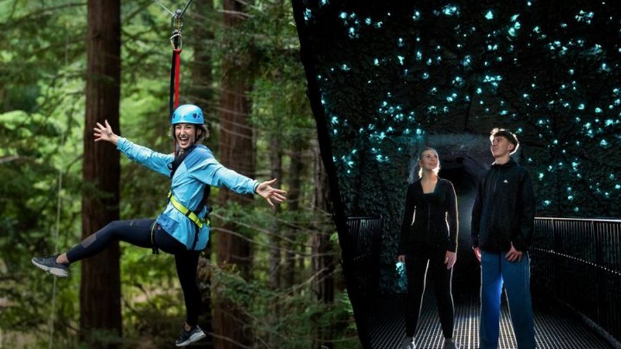 Redwoods Altitude High Ropes & Ziplines + Glowworms, Rotorua