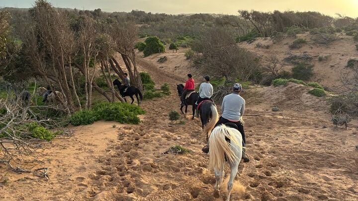 1h Sunset Horse Ride in Essaouira with Photos and Videos