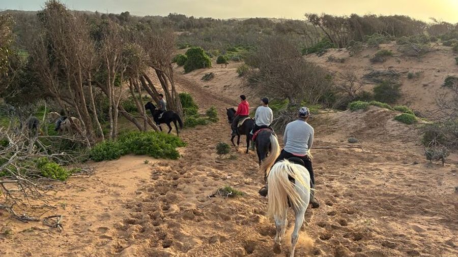 1h Sunset Horse Ride in Essaouira with Photos and Videos