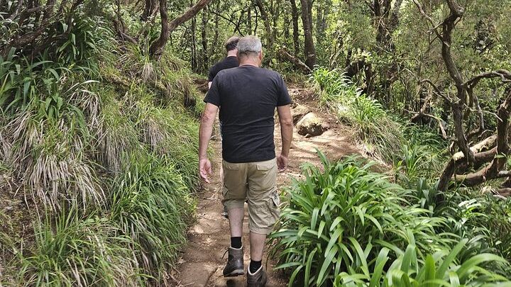Madeira 4x4 Jeep Tour : Pico Arieiro & Santana Traditional Houses