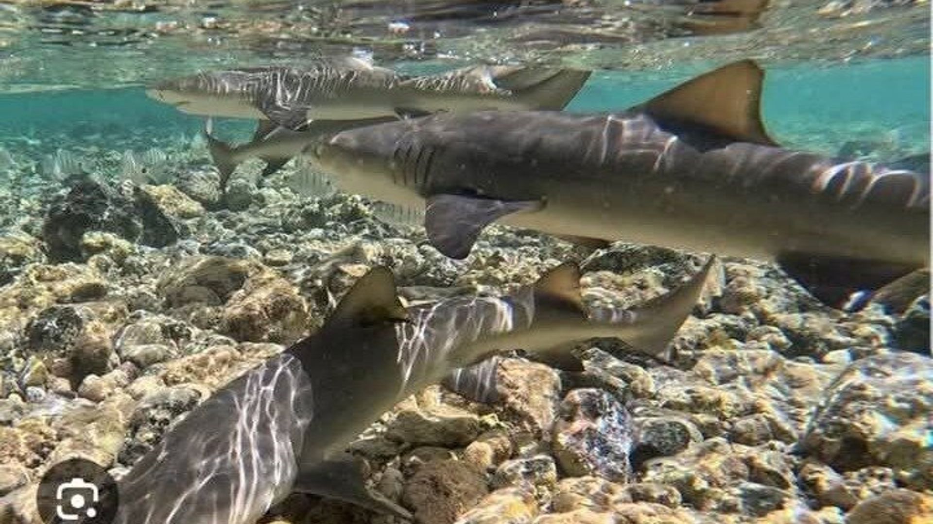 Explore Tour of Jipe Island 4x4