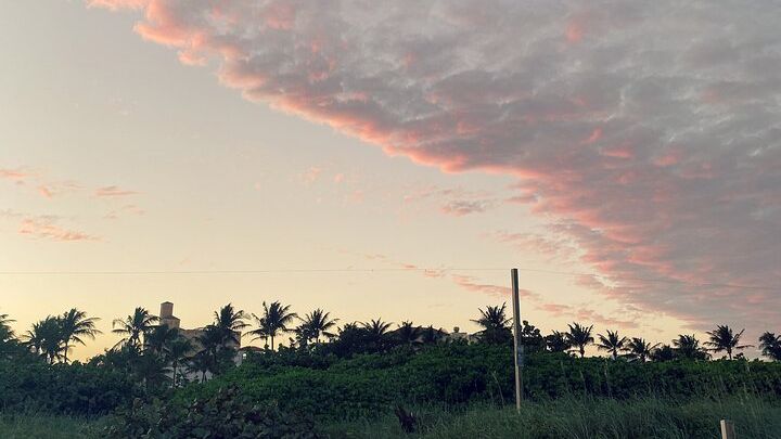 Miami Beach Half-Day Bike Tour