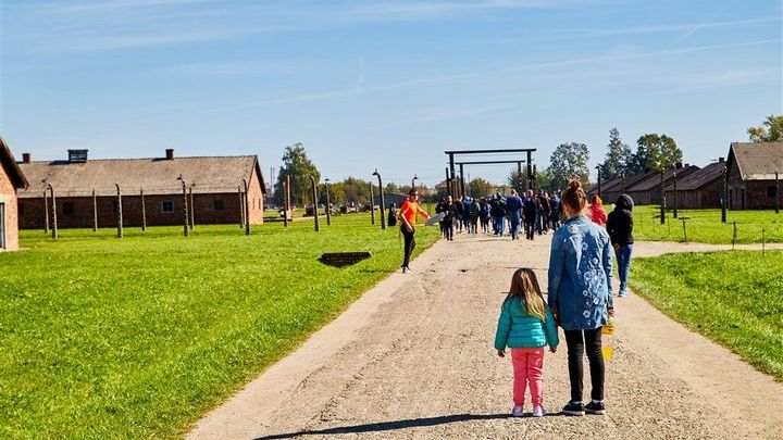 Krakow: Auschwitz Museum and Wieliczka Salt Mine Private Tour