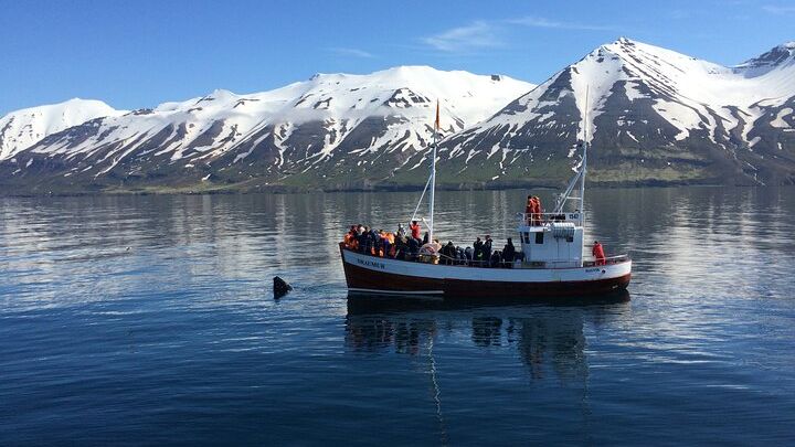 Iceland 6-Day Adventure Tour from Reykjavik with Hotels