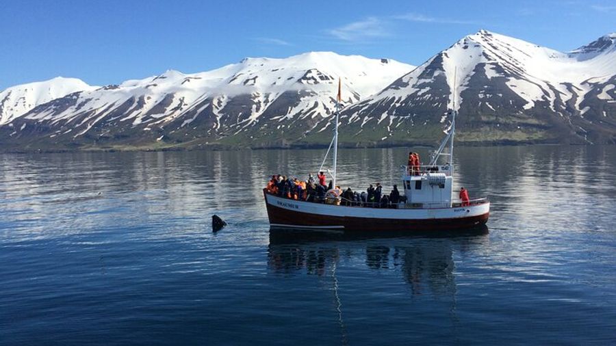 Iceland 6-Day Adventure Tour from Reykjavik with Hotels