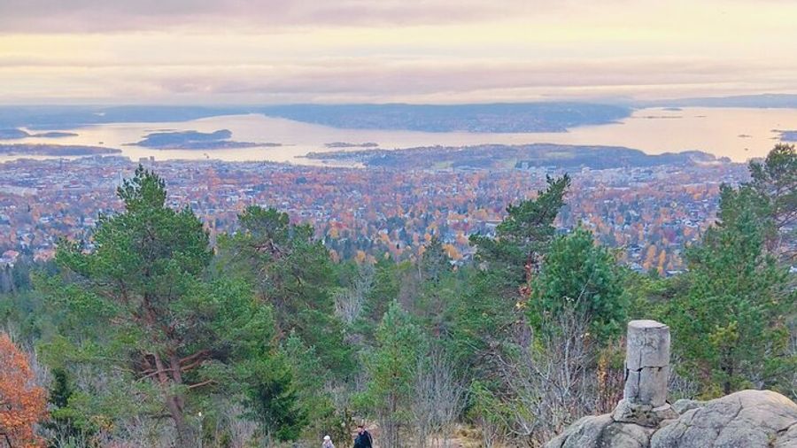 Oslo Forest Hike With Fjord Views and Waffles Half-Day Tour
